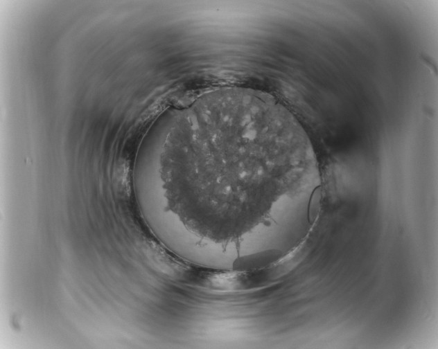 X0000100220178200805301354