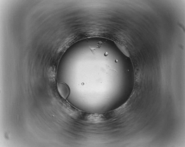 X0000100220179200805301354