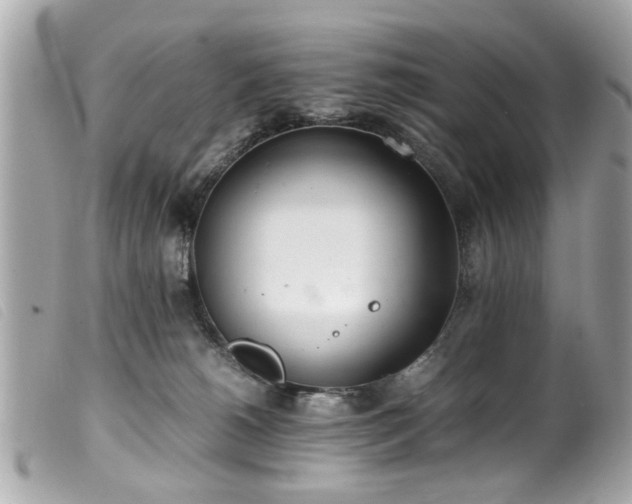 X0000100220180200805301354