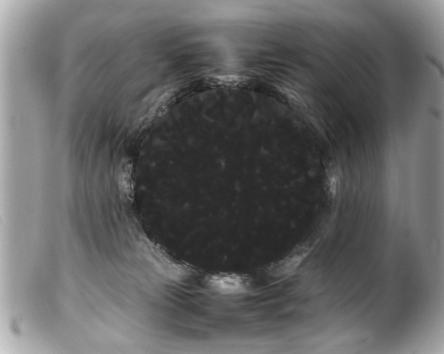 X0000100220181200805301354