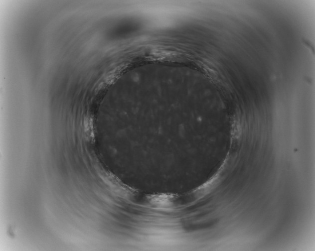 X0000100220182200805301354