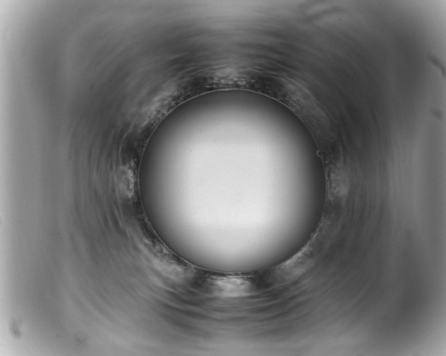 X0000100220183200805301354