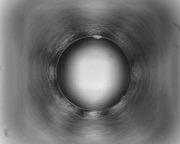 X0000100220184200805301354