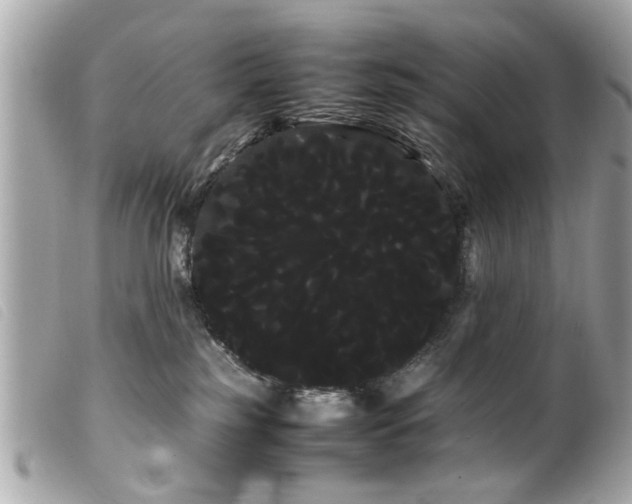 X0000100220185200805301354