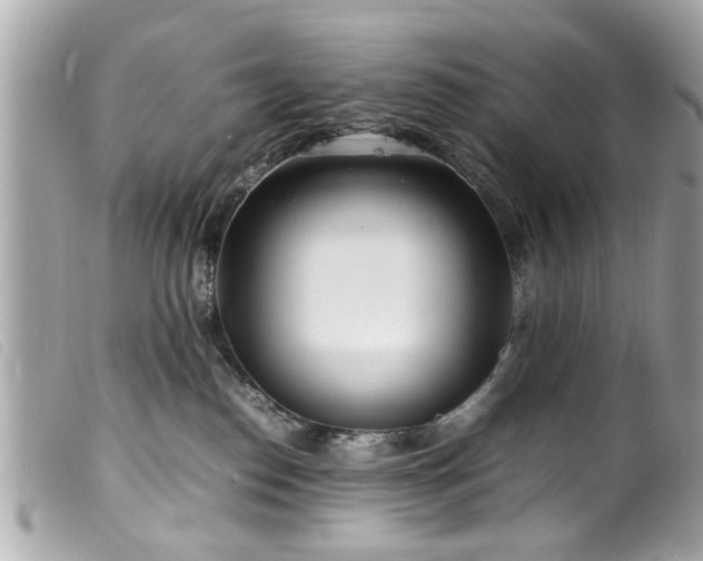 X0000100220186200805301354