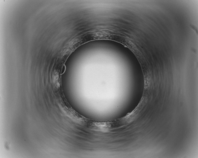 X0000100220187200805301354