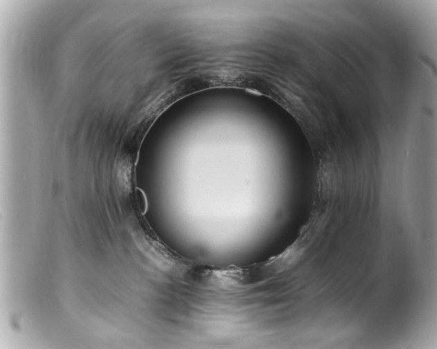 X0000100220188200805301354