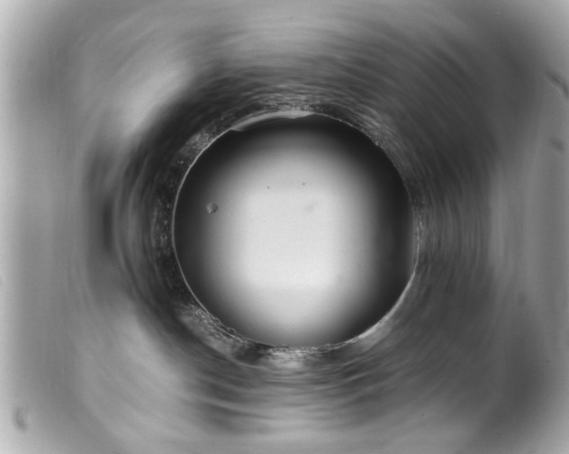 X0000100220190200805301354