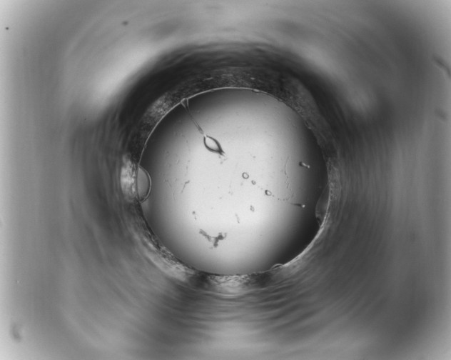 X0000100220191200805301354