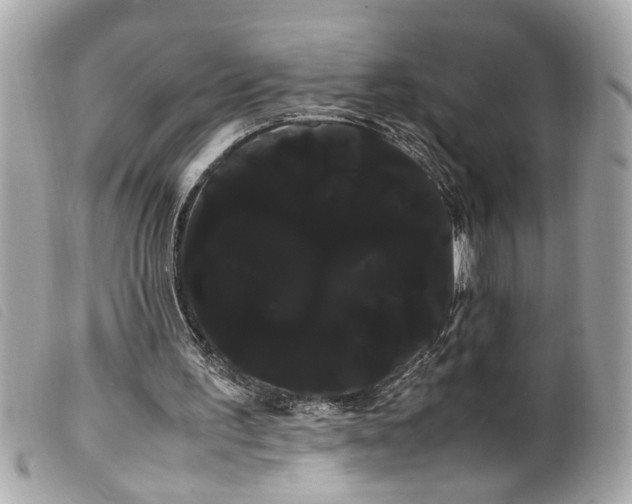 X0000100220195200805301354