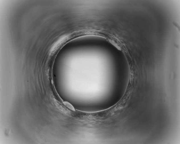 X0000100220197200805301354