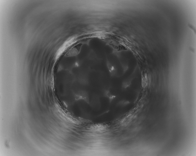 X0000100220198200805301354