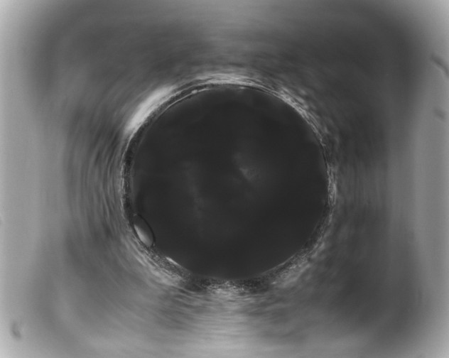 X0000100220199200805301354