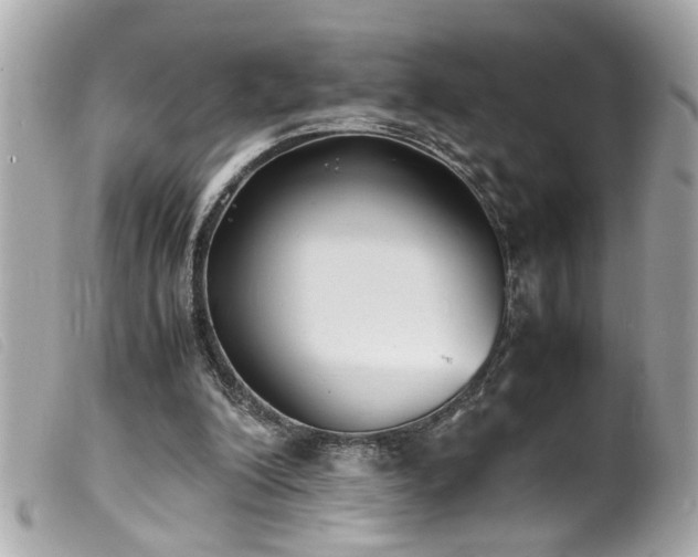 X0000100220200200805301354