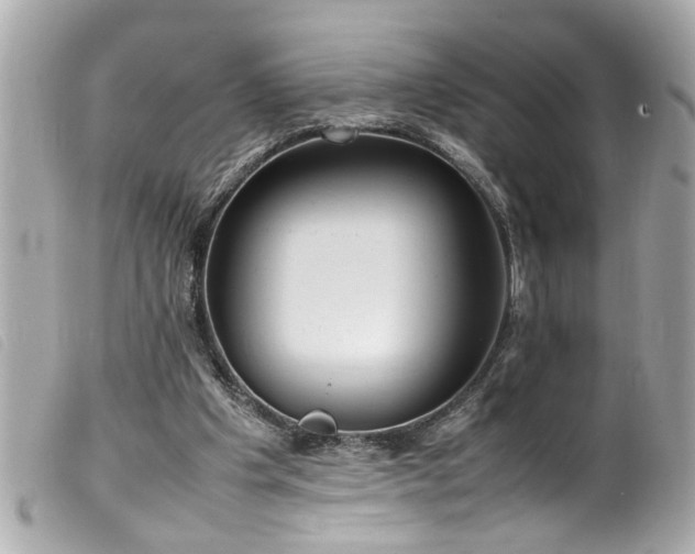 X0000100220201200805301354