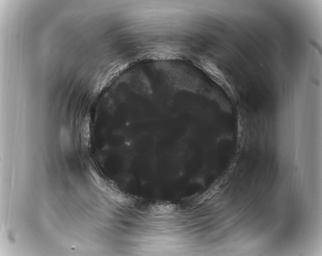 X0000100220202200805301354