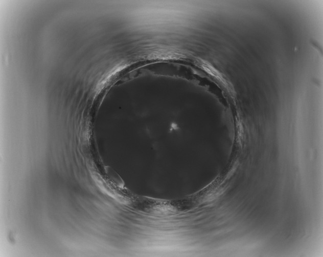 X0000100220203200805301354