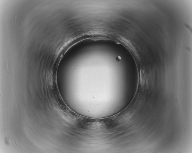 X0000100220204200805301353