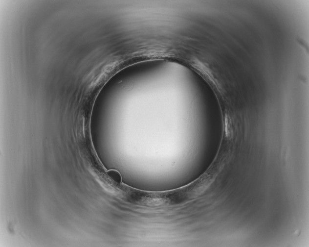 X0000100220205200805301353