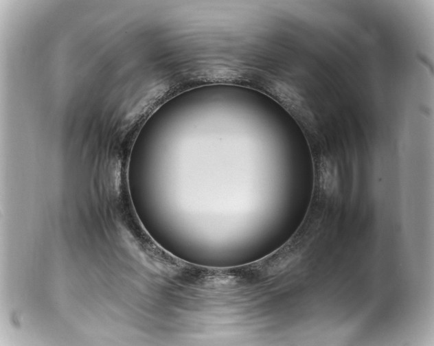 X0000100220206200805301353