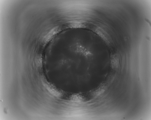 X0000100220207200805301353