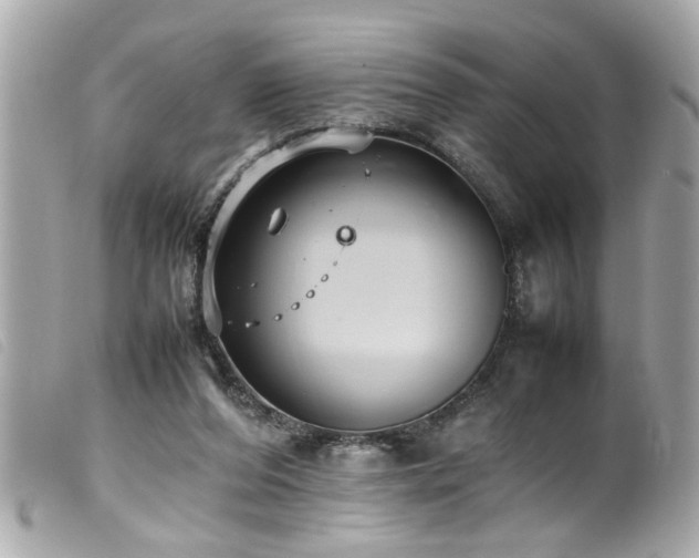 X0000100220208200805301353