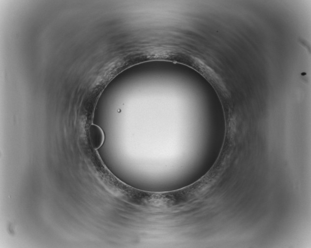 X0000100220209200805301353