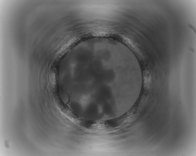 X0000100220211200805301353