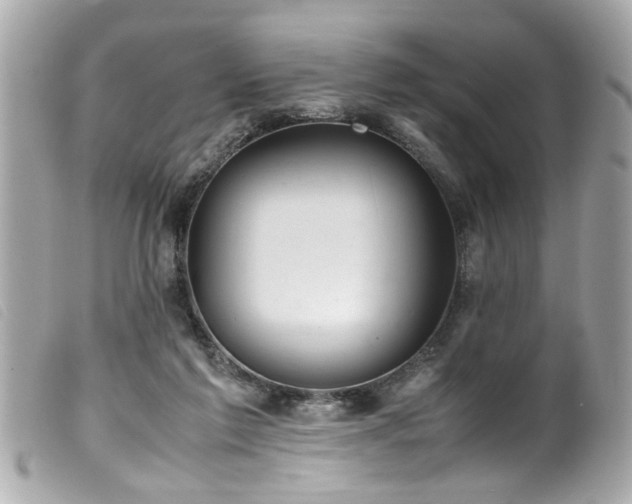 X0000100220213200805301353