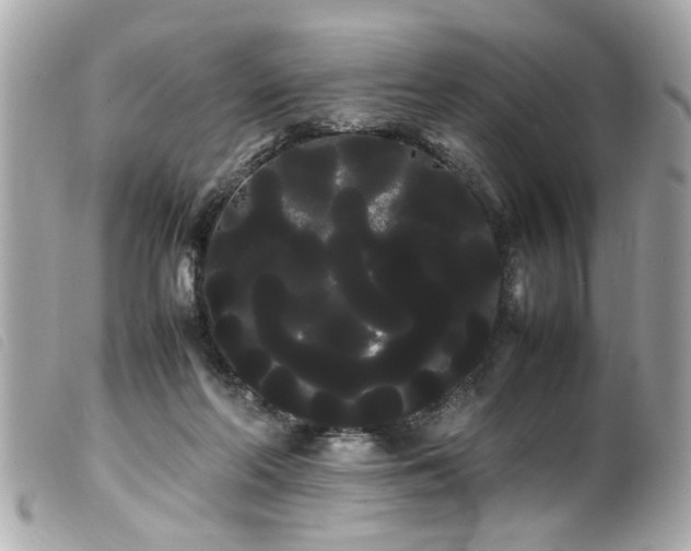 X0000100220214200805301353