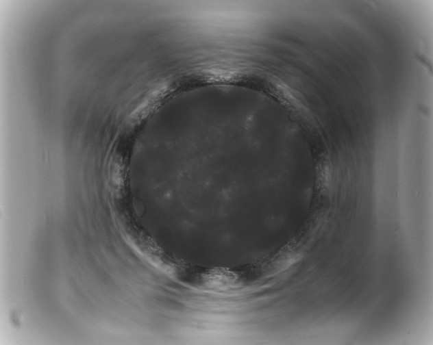 X0000100220215200805301353