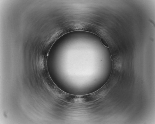 X0000100220216200805301353