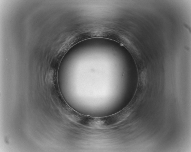 X0000100220217200805301353