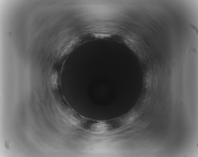 X0000100220219200805301353