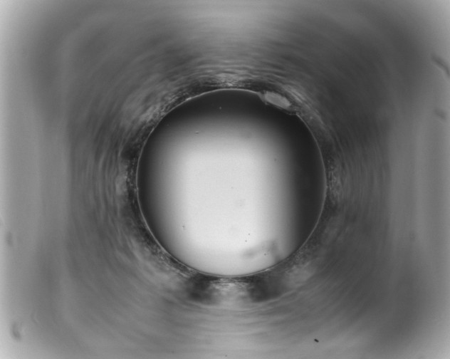 X0000100220221200805301353