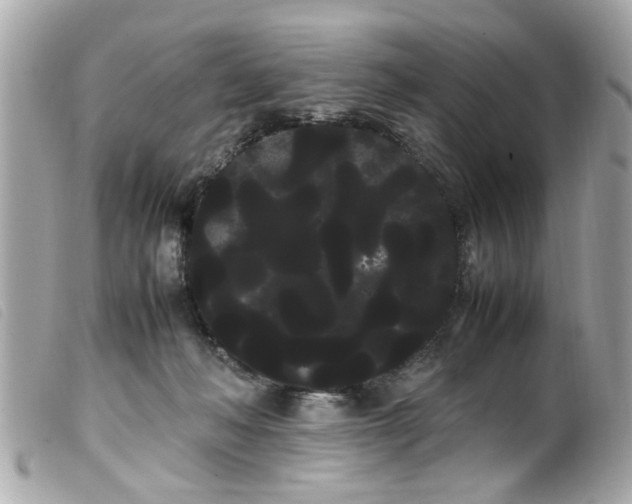 X0000100220222200805301353