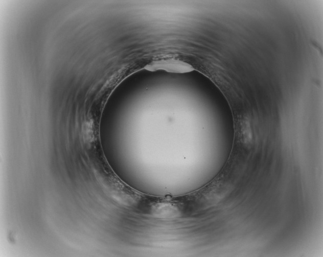 X0000100220224200805301353