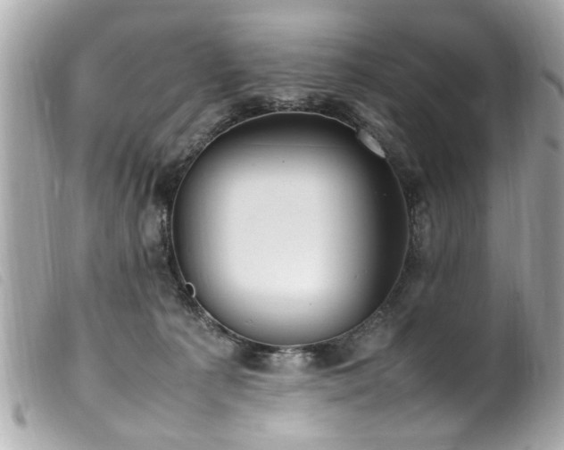 X0000100220225200805301353