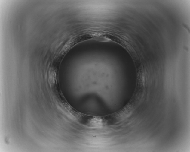 X0000100220227200805301353