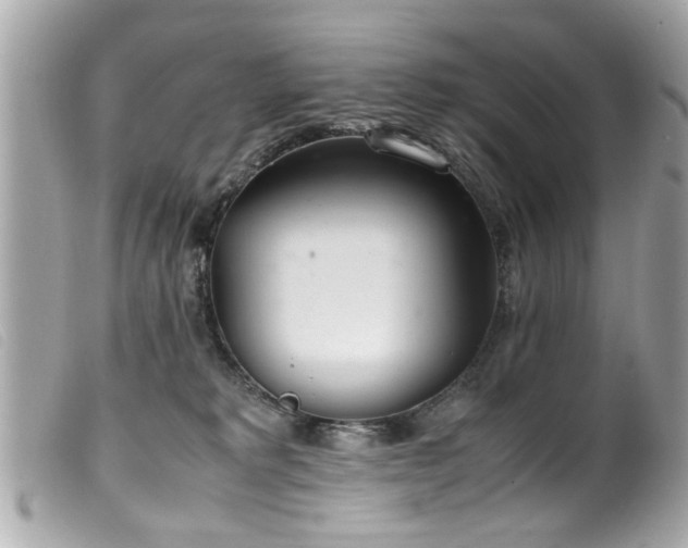 X0000100220229200805301353