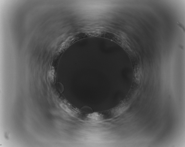 X0000100220231200805301353