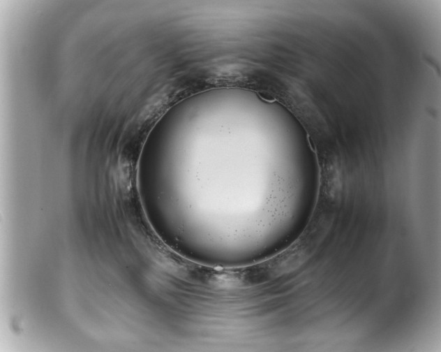 X0000100220232200805301353