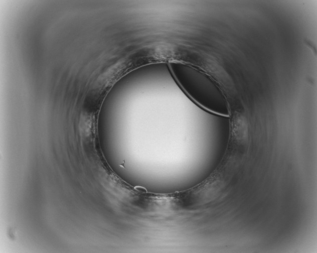 X0000100220233200805301353