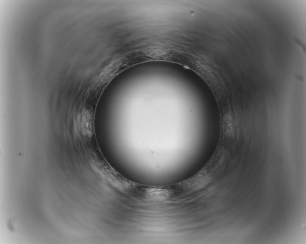 X0000100220234200805301353