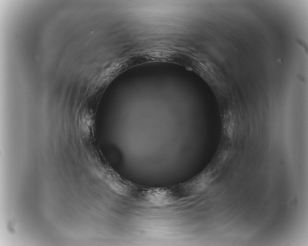 X0000100220235200805301353