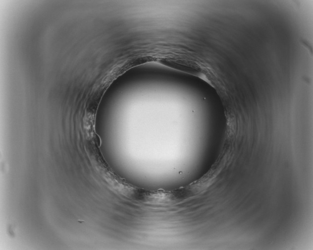 X0000100220237200805301353