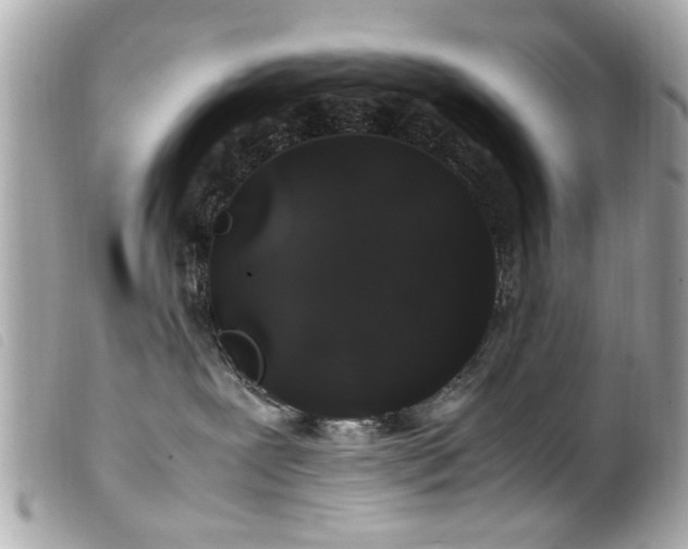 X0000100220239200805301353