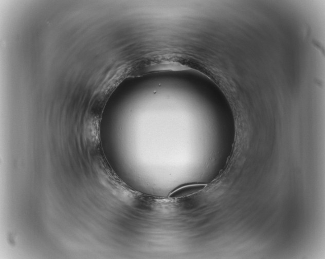 X0000100220240200805301353