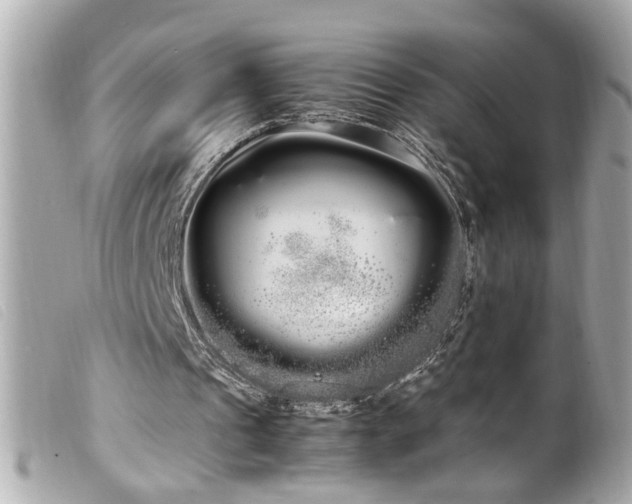 X0000100220241200805301352