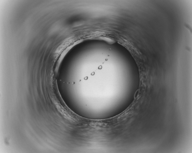 X0000100220242200805301352